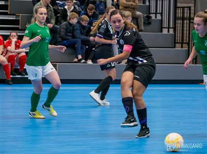 Proxsys Cup JC240017