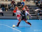 Proxsys Cup JC240145