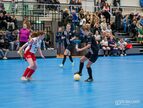 Proxsys Cup JC240160