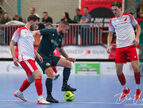 IMG_7309-imp