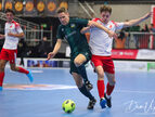 IMG_7351-imp