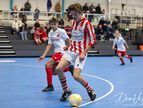 IMG_7634-imp