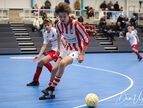 IMG_7635-imp