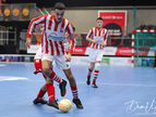 IMG_7651-imp