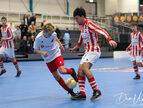 IMG_7674-imp