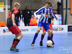 IMG_7684-imp