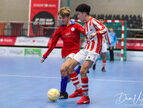 IMG_7761-imp