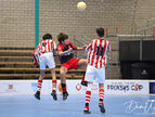 IMG_7796-imp