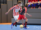 IMG_7810-imp