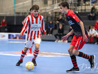 IMG_7826-imp