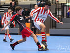 IMG_7831-imp