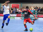 IMG_7889-imp