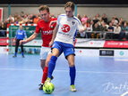 IMG_8409-imp