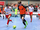 IMG_8166-imp
