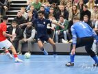 IMG_1636-imp
