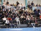 IMG_1960-imp