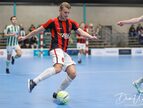 IMG_2048-imp
