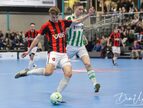 IMG_2091-imp
