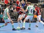 IMG_2146-imp