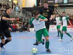 IMG_2172-imp