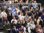IMG_2185-imp