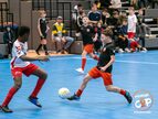 OB_20231228-12-06-45