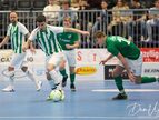 IMG_2382-imp