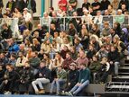 IMG_3885